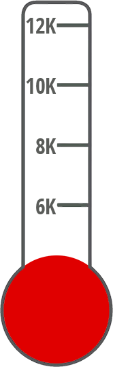 fundraising meter